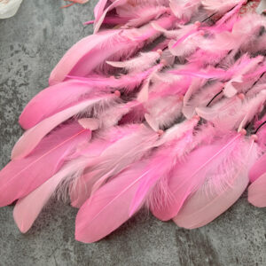 Acrylic Feather Wind Chime Dreamcatcher