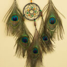 Elegant Peacock Feather Dreamcatcher