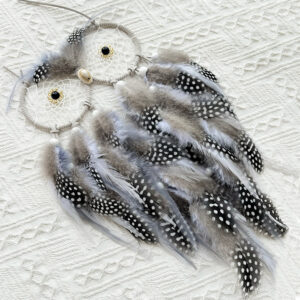 Wisdom Owl Dreamcatcher