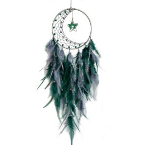 Star Feather Dreamcatcher
