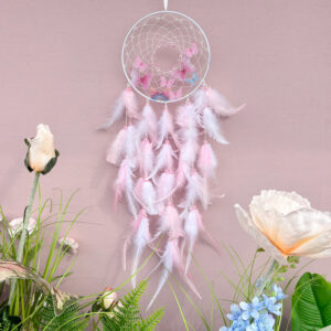 Dreamy Butterfly Dreamcatcher