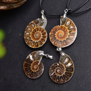 Natural Shell Fossil Pendant